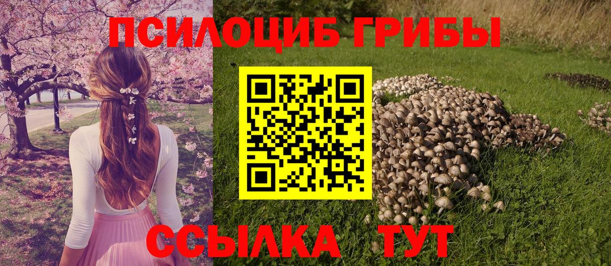 Галлюциногенные грибы GOLDEN TEACHER  где продают наркотики  Заводоуковск  Вход с VPN 